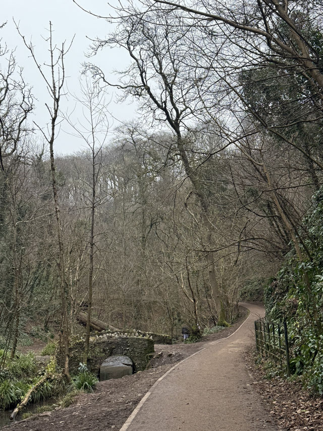 Blaise Castle – A Hidden Gem Celebrating History and Nature in Bristol! 🏰 🌳