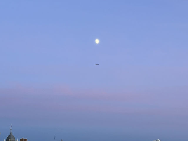 🌅 夕陽、海灘、美食！海牙最Chill的海邊體驗 🌊🍹