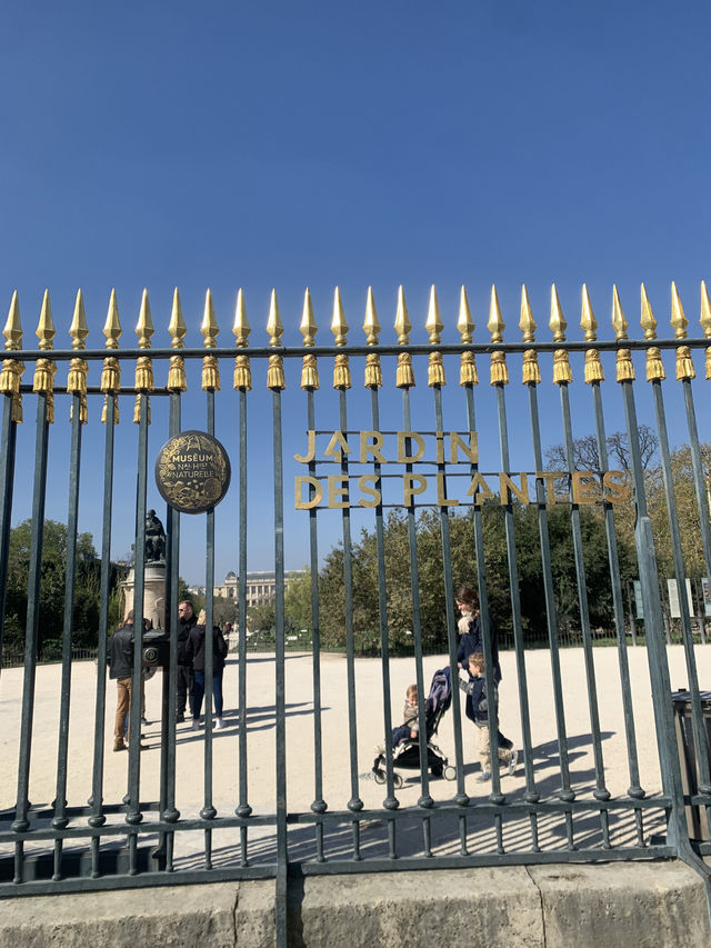巴黎春天必須體驗百花齊放Jardin des Plantes