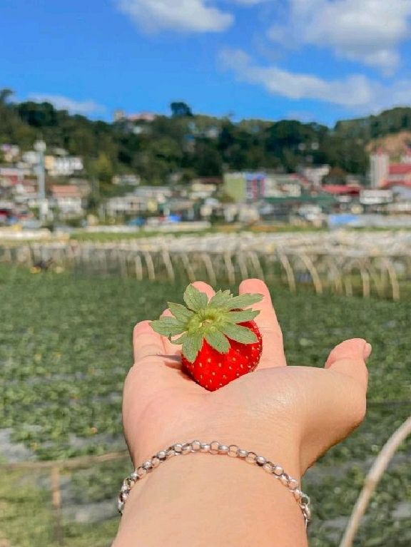 🇵🇭🌲 The Ultimate Guide to Baguio City – The Summer Capital of the Philippines! 🧳🌟