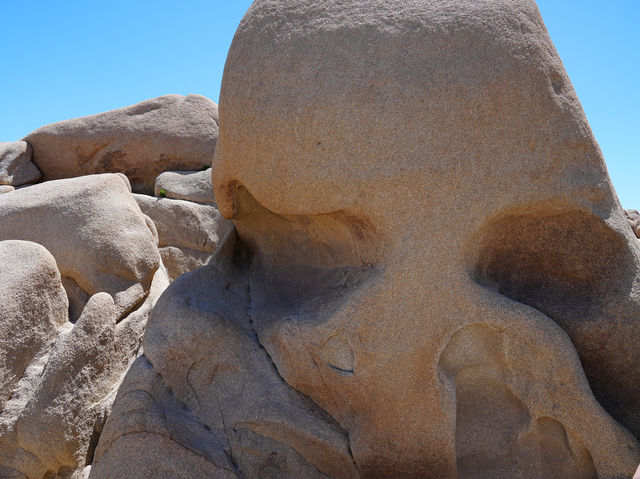 Joshua Tree National Park - the USA’s forgotten gem! 