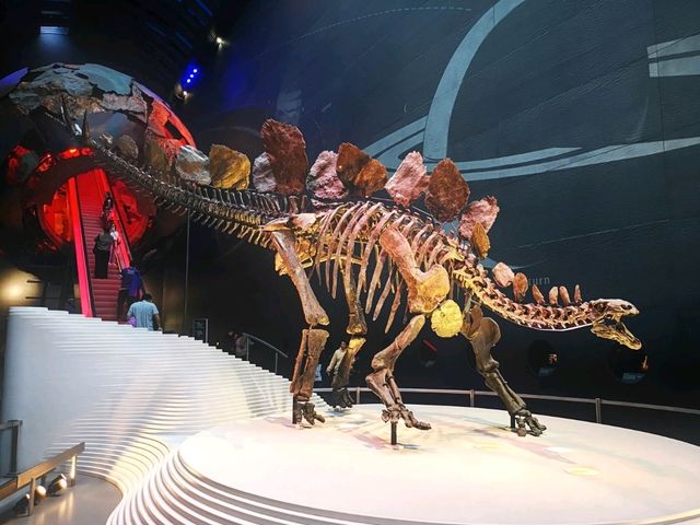 Discovering the Natural World: Reflections on Natural History Museum