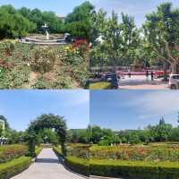 Little parks in Shanghai, little water worlds in the heart of the city