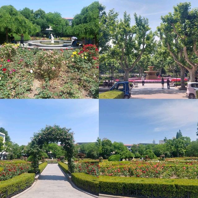 Little parks in Shanghai, little water worlds in the heart of the city