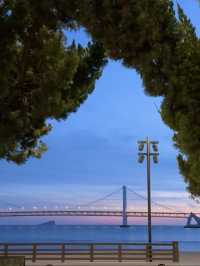 Dancing with the Sea Breeze: A Day at Dalian Xinghai Square