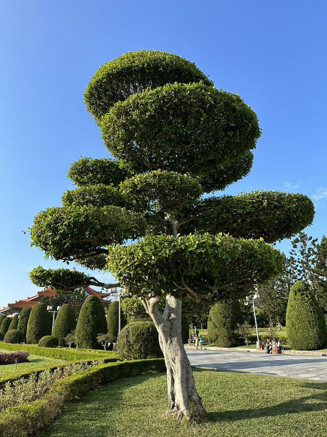 Historic Taipei Stroll: Monuments, Museums & Open Square Magic