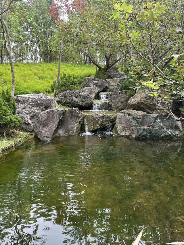 💮 🌿✨ Gardens by the Bay -Daytime