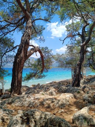 ชายหาดอินซ์คุม: สวรรค์อันลึกลับ 🇹🇷☀️