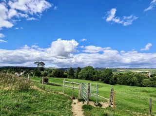 Vines, Vales, and Verdant History. The Refined Elegance of Squerryes Park