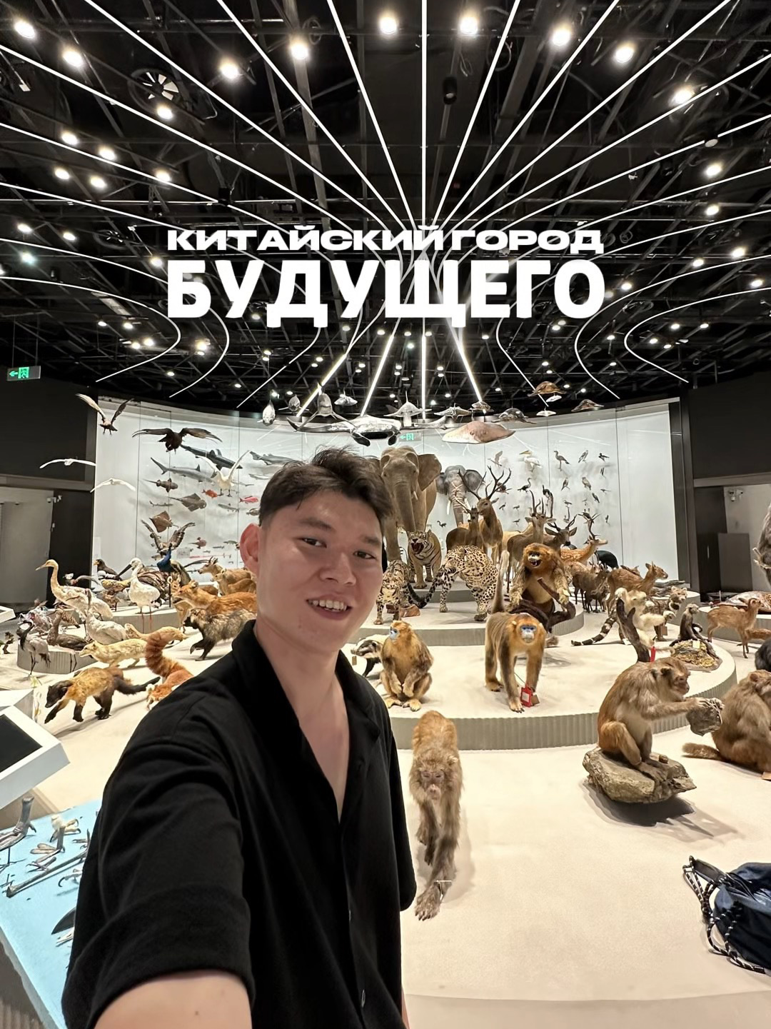 After a few days in Shenzhen, I was left with one feeling: here, the future has already become ordinary life 🤖

Driverless taxis, coffee from a robot, skiing in the subtropics, entire streets filled with artists, and a museum where, for a few minutes, I truly felt like I was inside Jurassic Park 🦖

And all this in a city that has grown to its current size in literally a single lifetime.

The more I spend in China, the harder it is to surprise me. But Shenzhen has managed it again.

Locations from the video:

1. Driverless taxi 🚕 - Baidu Apollo Go / Pingshan (before publishing, we'll check your image to see if it's from Baidu or Pony.ai)
2. Coffee from a robot 🤖☕️ - Shenzhen Talent Park
3. Indoor ski resort 🎿 - Qianhai Snow World
4. View from the 116th floor 🌃 - FREE SKY, Ping An Finance Center
5. Artists' village 🎨 - Dafen Oil Painting Village
6. New Natural History Museum 🦖 - Shenzhen Natural History Museum

Thanks to @trip @trip.pal_ru and @amazingshenzhen_ for another introduction to a China I didn't know before 🇨🇳❤️

Save if Shenzhen is now on your list too 👀

#shenzhen #amazingshenzhen #shenzhen #china #travel