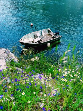 Omis Canyon Magic🌿