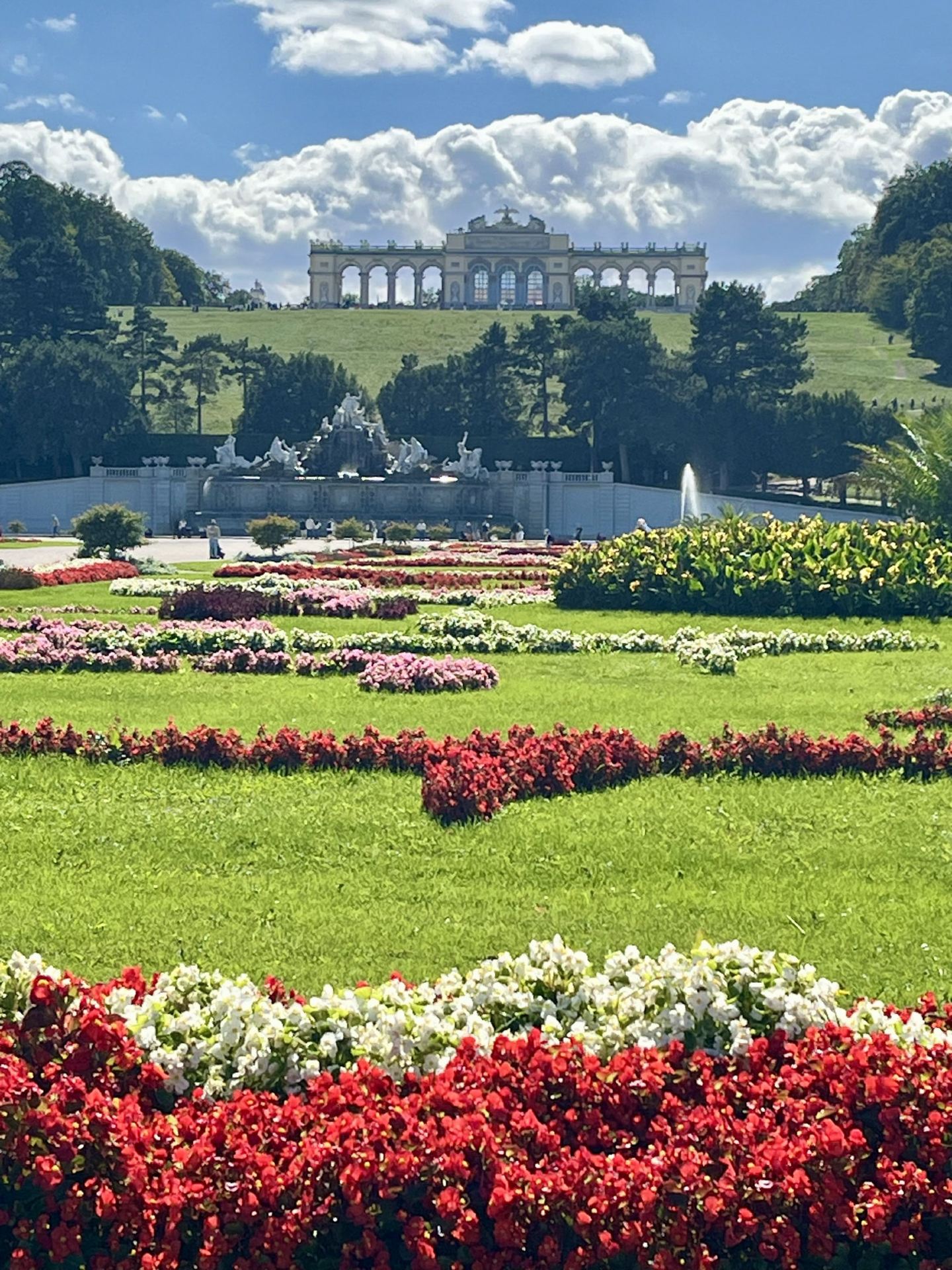Spoil Yourself with Royal Views: Exploring Vienna’s Schönbrunn Palace Gardens 👑🌳
