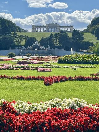 Spoil Yourself with Royal Views: Exploring Vienna’s Schönbrunn Palace Gardens 👑🌳