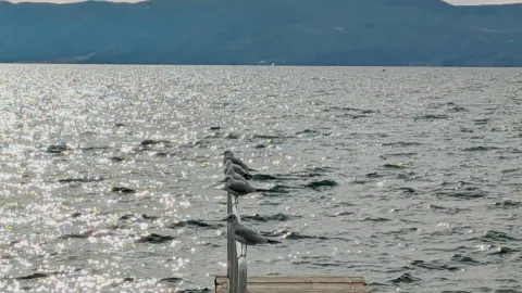 Ohrid: The Sparkling Gem of Macedonia 🌟 #localdiscoveries — traveler post in Ohrid