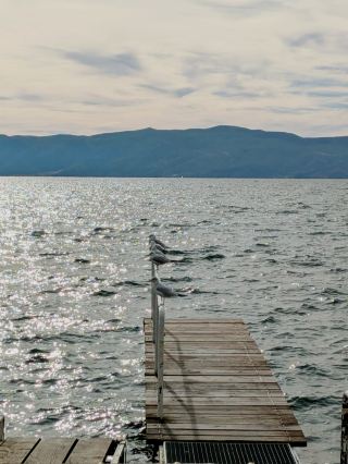 Ohrid: The Sparkling Gem of Macedonia 🌟 #localdiscoveries