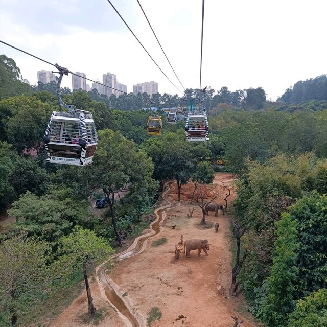 Chimelong Safari Park in Guangzhou 