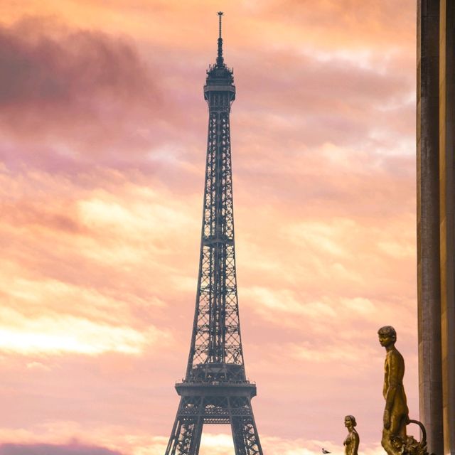 The Stunning Eiffel Tower