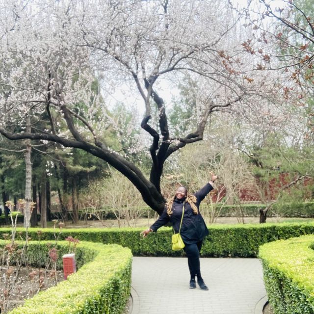 JINGSHAN PARK in the center of BEIJING 