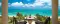 halcyon_4859