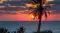 xantheira_5467