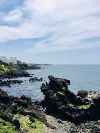 Jeju Island Travel Route Recommendation | Take a spontaneous trip