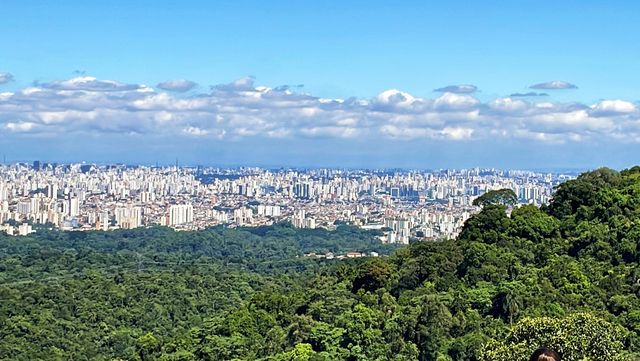 Explore Parque Estadual da Cantareira in São Paulo.