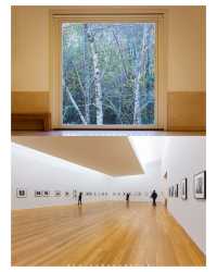 🌟The biggest surprise of my second visit to Porto - Serralves🌟