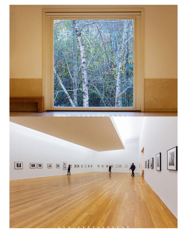 🌟The biggest surprise of my second visit to Porto - Serralves🌟
