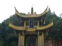 Emei Mountain's Treasure! 🇨🇳