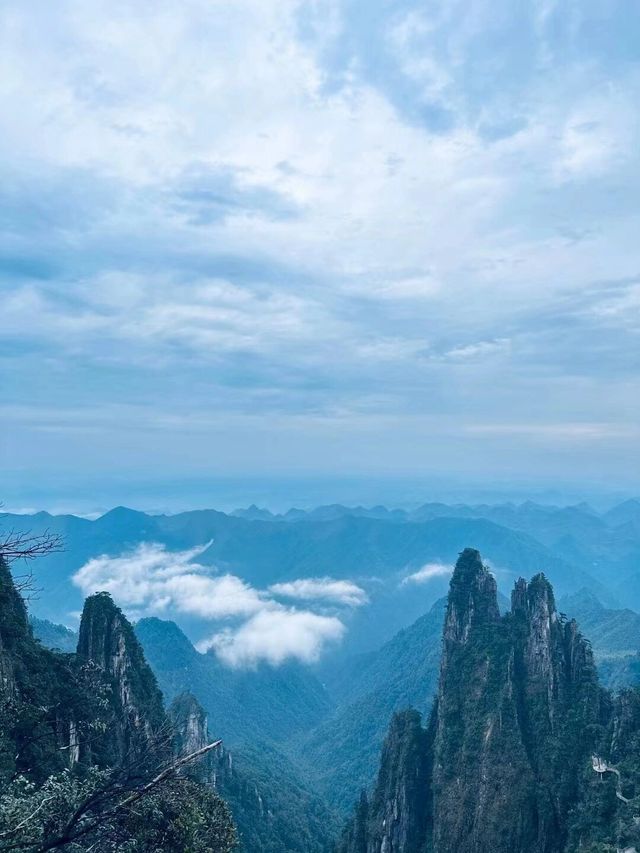 莽山一座讓我輕鬆爬完的山|||郴州莽山五指峰