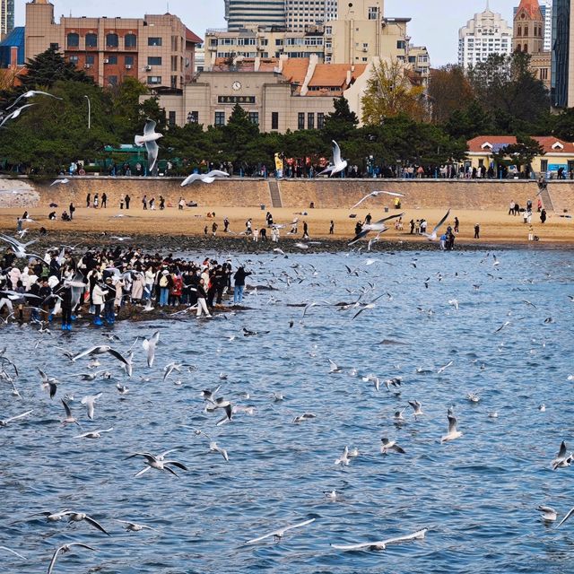 廣州直飛🛫很方便『青島•棧橋』