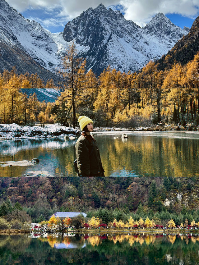 川西旅行｜錯過又要等一年的彩林