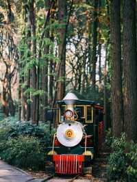 上海共青森林公園旅遊攻略
