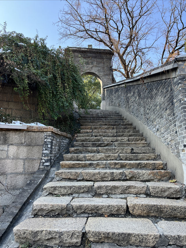 雪後之旅