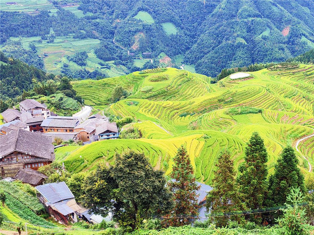 八千里路雲和月———南行記憶之九：梯田最美數龍脊