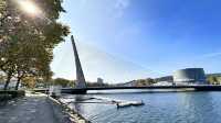 蒂蘭特斯斜拉橋Puente de los Tirantes