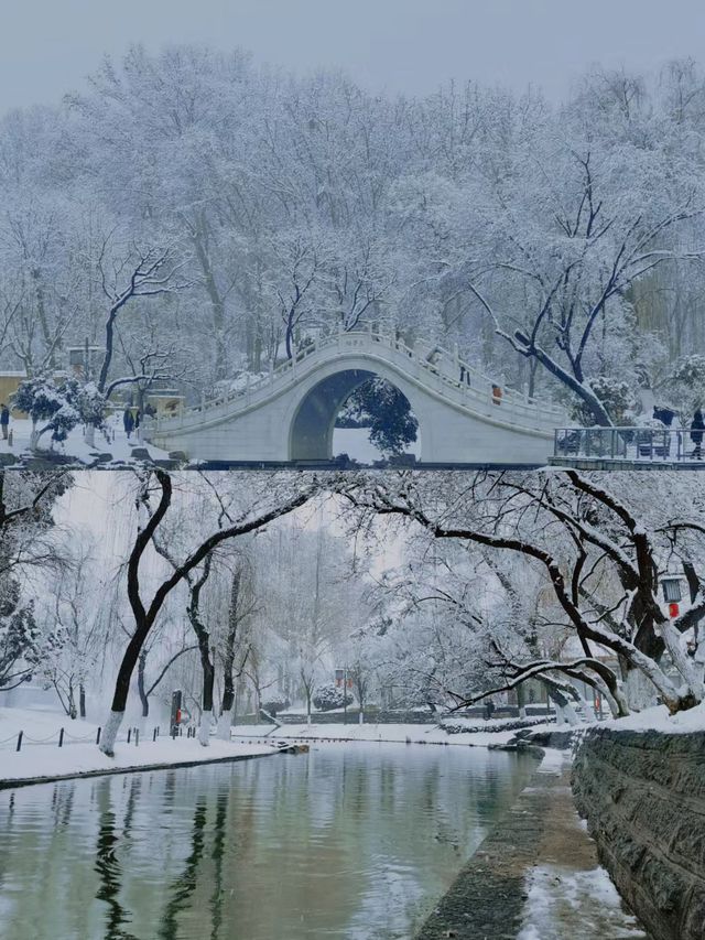 西安的這場雪下進了我的心坎裡