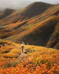 Best places to get outside this spring!