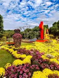 義烏植物園，菊韻醉金秋