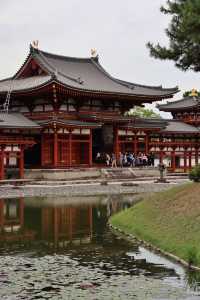 宇治平等院｜打卡日幣10元硬幣背面景點🪙全攻略