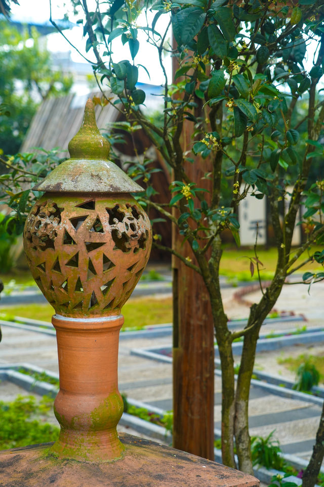 雲南旅行｜德宏酸茶是什麼茶？