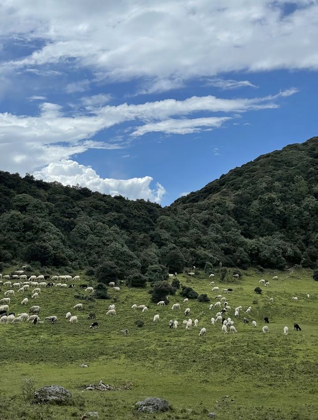 不為人知的大理小眾秘境鳥吊山