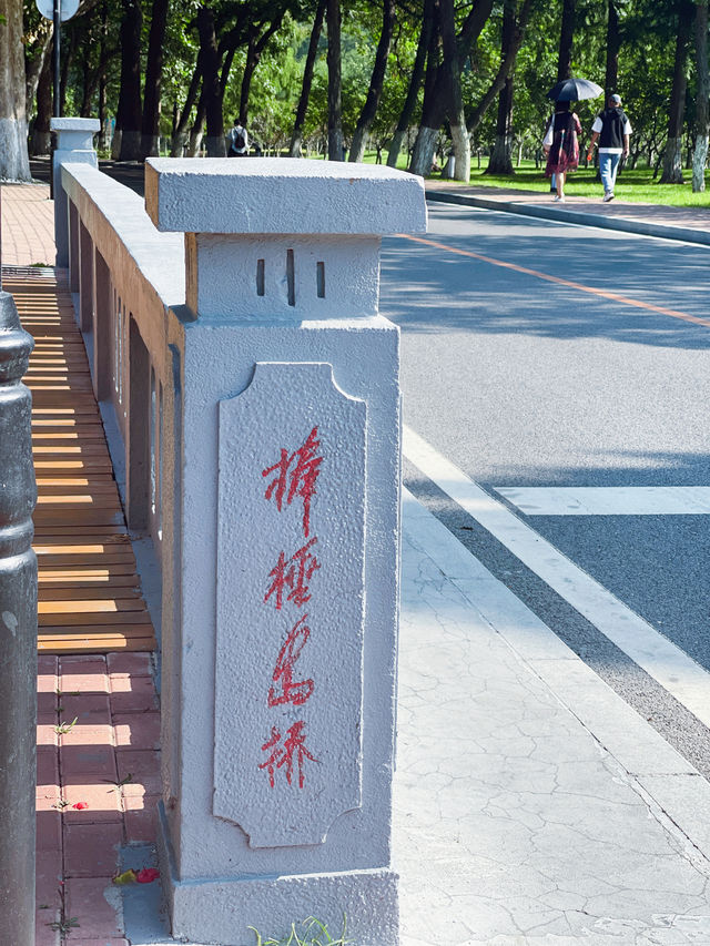 趁國慶打卡祖國大好河山—大連後花園棒槌島