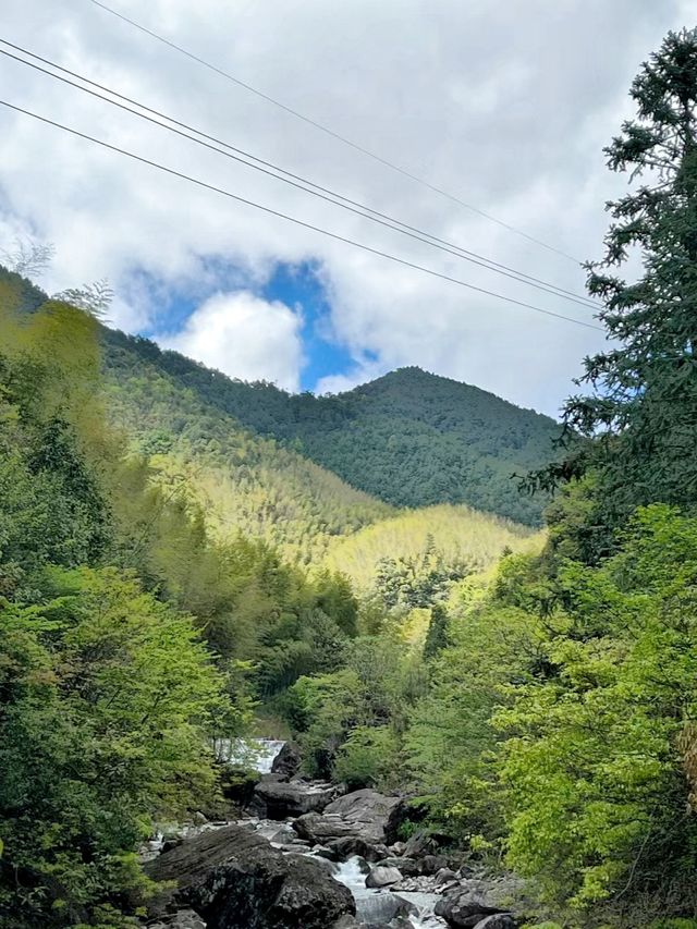 小眾旅遊地百山祖