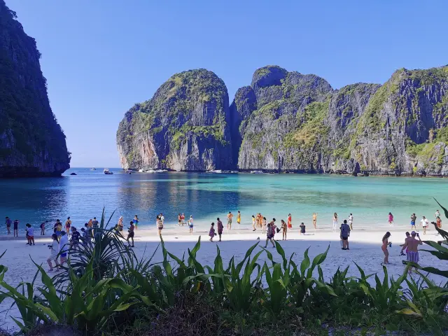 Maya Bay on Koh Phi Phi, is the location where the movie 'The Beach' was filmed, and is worth a visit