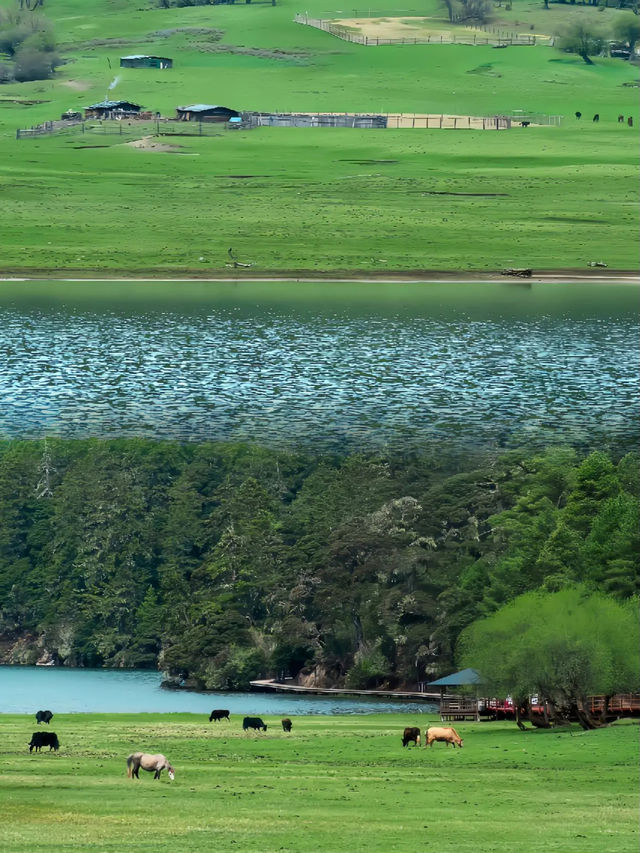 青山綠水，水天一色