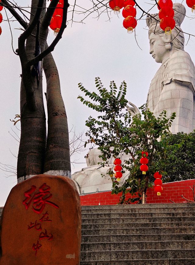 打卡-東莞觀音山旅遊景區