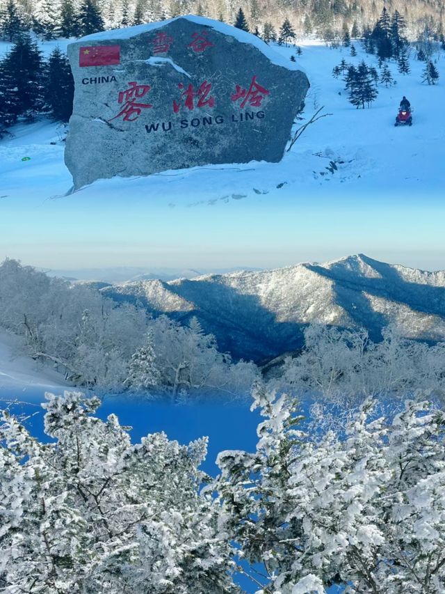 哈爾濱雪谷｜冬日獨有的浪漫