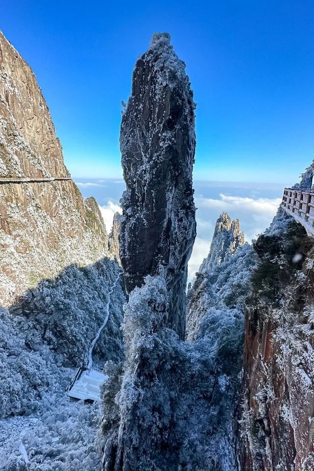 跟風最成功的一次 莽山五指峰｜遇見霧凇雲海