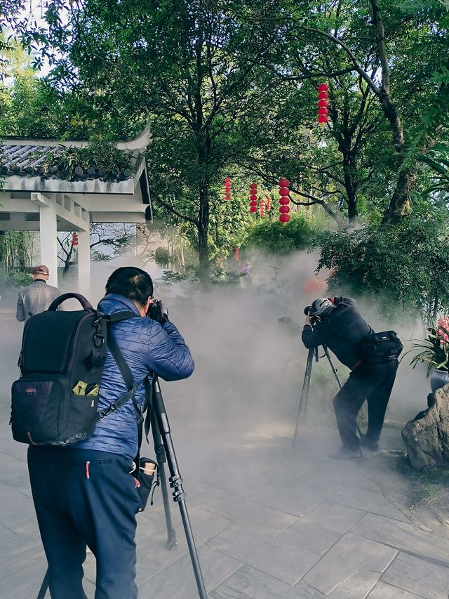 春節去了趟於山蘭花展，以為到了仙境
